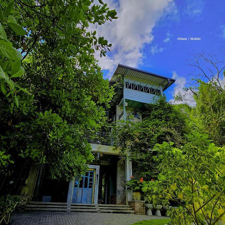 Ceylon Kingsmen Garden Hotel - Katunayake Negombo Buitenkant foto